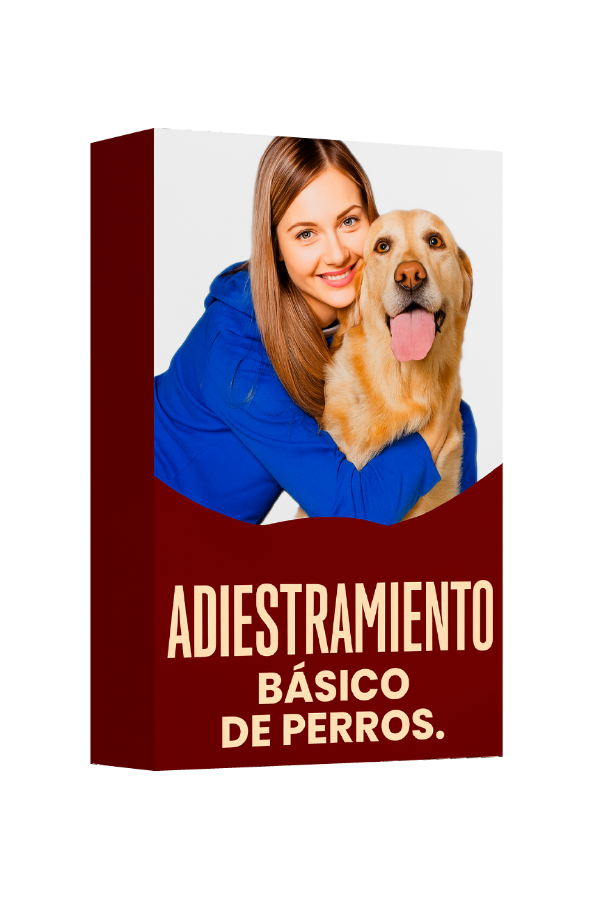Adiestramiento básico de perros