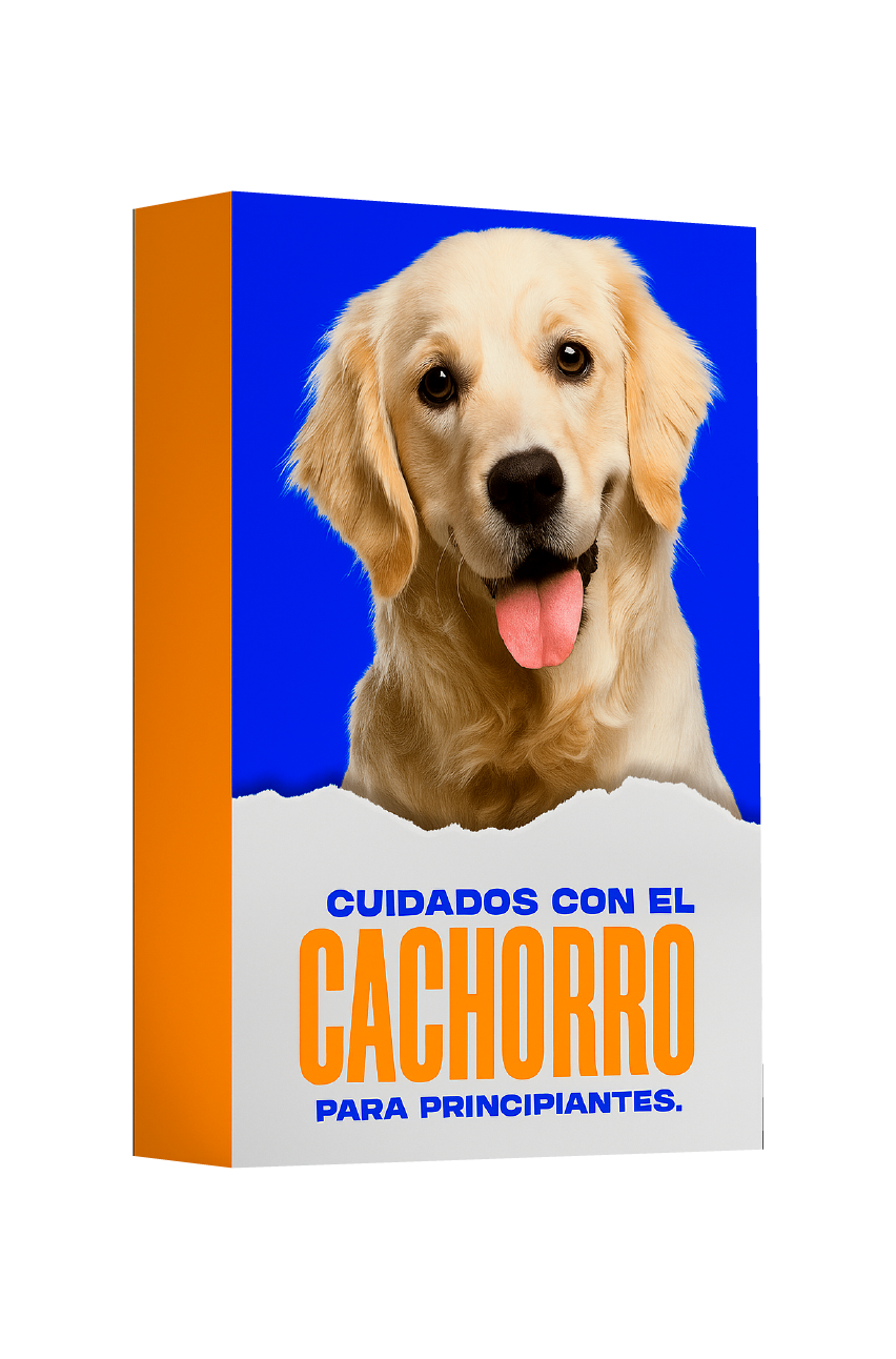 Cuidado del perro para principiantes